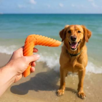 Doggi Catch & Carry Boomerang Toy for Dogs 22x10x3cm - buy, prices for MasterZoo - photo 4