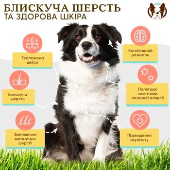 Natural Dog Company Skin&Coat Vitamins for Dogs 90pcs - buy, prices for MasterZoo - photo 4