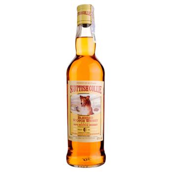 Scottish Collie 3 yrs whisky 40% 0.5l - buy, prices for EKO Market - photo 1