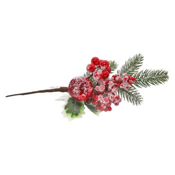 Ornamental plant Without brand China - buy, prices for COSMOS - photo 2