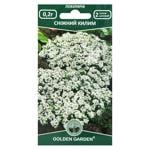 Golden Garden Snow Carpet Lobularia Flowers Seeds 0.2g