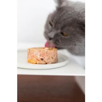 Корм вологий GimCat Shiny Cat з тунцем, креветками та солодом для котів 70г - купити, ціни на MasterZoo - фото 2
