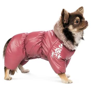 Combination Pet fashion - buy, prices for MasterZoo - photo 2