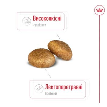 Royal Canin Maxi Adult Dry Food with Poultry for Dogs of Large Breeds 3kg - buy, prices for MasterZoo - photo 4