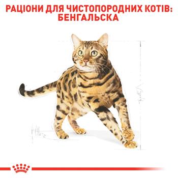 Корм сухой Royal Canin с домашней птицей для взрослых кошек бенгальской породы 2кг - купить, цены на - фото 3