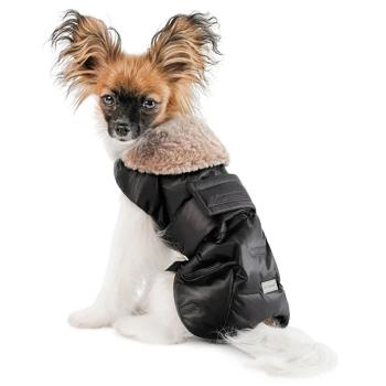 Pet Fashion Ted Horsecloth for Dogs s.ХL - buy, prices for MasterZoo - photo 2