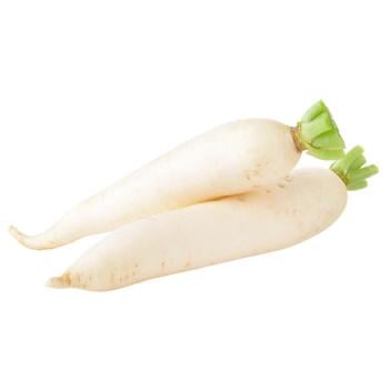 Daikon Radish
