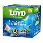 Loyd Blackberry and Blueberry Fruit Tea 2g*20pcs
