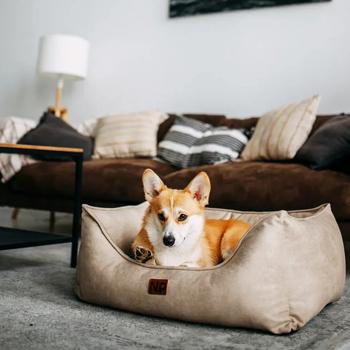 Noble Pet Leon Pet Bed 55x45х18cm Sand - buy, prices for COSMOS - photo 3
