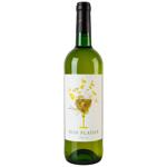 Wine Bon plaisir 11% 750ml glass bottle France