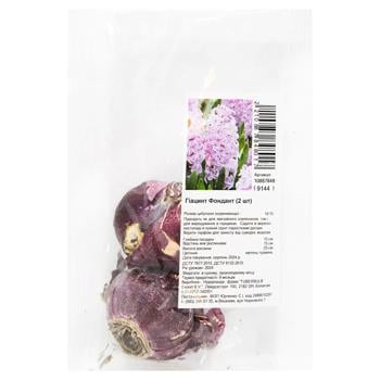 Bulb of Hyacinth Fondant 2pcs - buy, prices for - photo 1