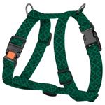 Leash Barksi Ukraine