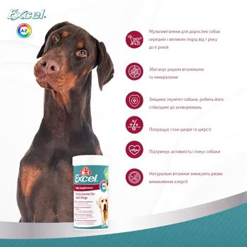 8in1 Excel Multi-Vitamin Adult Daily Supplement Multivitamins for Dogs 70pcs - buy, prices for MasterZoo - photo 5