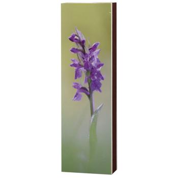 Сірники НВ для каміну та гриля 50шт - купити, ціни на За Раз - фото 2