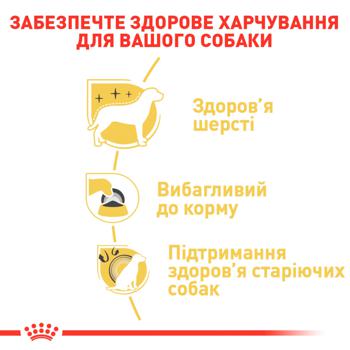 Корм сухий Royal Canin Adult з домашньою птицею для собак породи йоркширський тер'єр 1,5кг - купити, ціни на MasterZoo - фото 5