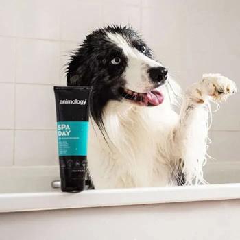 Шампунь для собак Animology Spa Day Shampoo 250ml - купить, цены на MasterZoo - фото 3