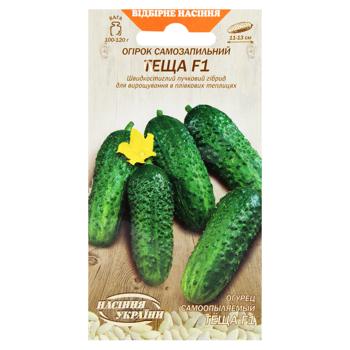 Seeds of Ukraine Teshcha Self-Pollinating Cucumber Seeds 0.25g - buy, prices for NOVUS - photo 1