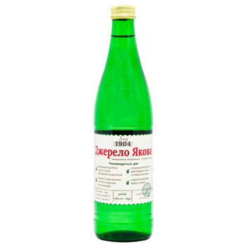 Dzherelo Yakova Mineral Water with Iodine 0.5l - buy, prices for Za Raz - photo 1