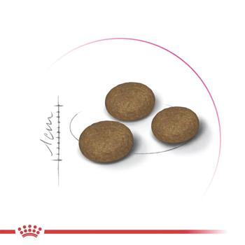 Royal Canin Fussy Exigent Dry Food for Fussy Cats 4kg - buy, prices for MasterZoo - photo 2