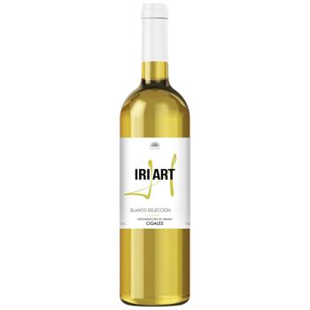 Hiriart Verdejo White Dry Wine 13% 0.75l - buy, prices for Epicentr FOOD - photo 1
