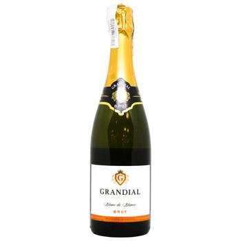 Вино ігристе Grandial Blanc de Blancs Brut біле сухе 11% 0,75л - купити, ціни на MasterZoo - фото 1