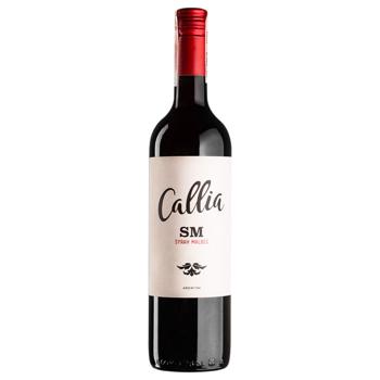 Вино Salentein Shiraz Malbec красное сухое 14% 0,75л - купить, цены на ULTRAMARKET - фото 1