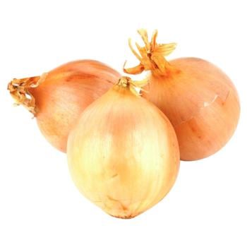 Цибуля ріпчаста - купити, ціни на Чудо Маркет - фото 1