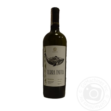 Wine Terra white dry 12.5% 750ml - buy, prices for MegaMarket - photo 1