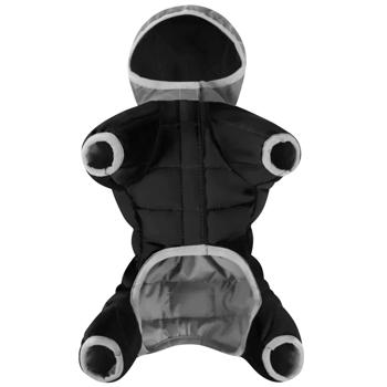 Combination Collar - buy, prices for MasterZoo - photo 1