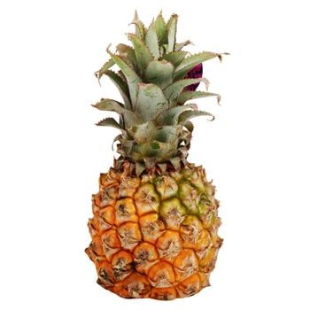 Baby Pineapple, pc - buy, prices for NOVUS - photo 1