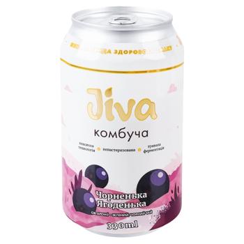 Jiva Black Berry Kombucha 0.33l - buy, prices for WINETIME - photo 1