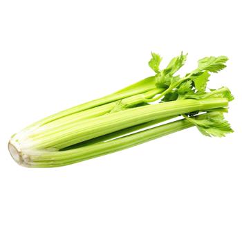 vegetables celery fresh