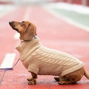 Светр для собак Noble Pet Antony р.2XL бежевий - купити, ціни на MasterZoo - фото 6