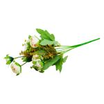 Міні-букет Ранункулюсів 5шт*30см