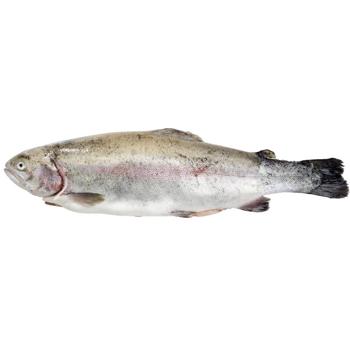 Fish trout Without brand fresh - buy, prices for Tavria V - photo 1