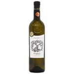 Wine fiano di avellino Masso antico 13% 750ml glass bottle Italy