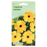 Elitsortnasinnia Thunbergia Orange Seeds 10pcs