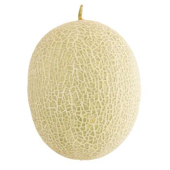 Caribbean Gold Melon Ukraine