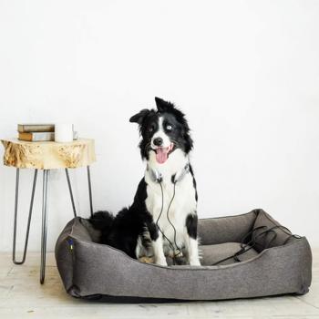 Harley and Cho Dreamer Gray Pet Bed 120x80cm Grey - buy, prices for - photo 7