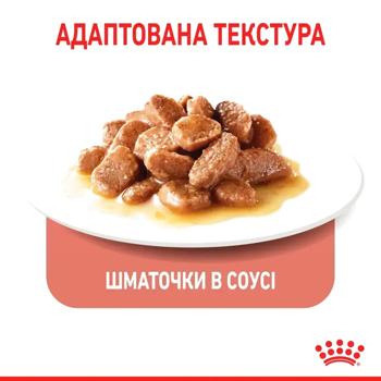 Royal Canin Appetite Control Wet Food for Controlling Appetite and Weight in Cats 85g - buy, prices for MasterZoo - photo 3
