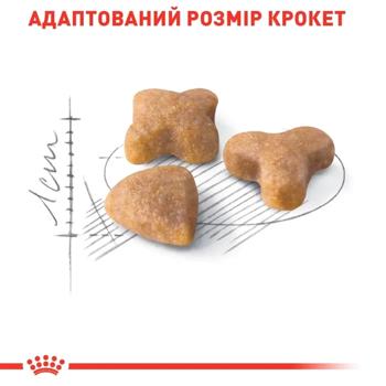 Корм сухой Royal Canin Sensible 33 для кошек с чувствительным пищеварением 3,2кг + 800г - купить, цены на MasterZoo - фото 3