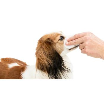 Trixie Eye-Care Eye Care Wipes for Dogs and Cats 100cps - buy, prices for MasterZoo - photo 4