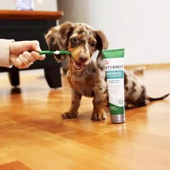 Зубная паста для собак Vet's Best Enzymatic Toothpaste 103мл - купить, цены на MasterZoo - фото 4