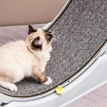 Lapka Cat Exercise Wheel 86x27x80cm - buy, prices for MasterZoo - photo 5