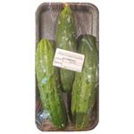 Estafeta Ukraine Cucumbers