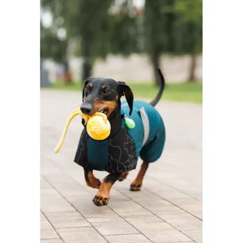 Комбінезон для собак Pet Fashion Den S-M - купити, ціни на MasterZoo - фото 5