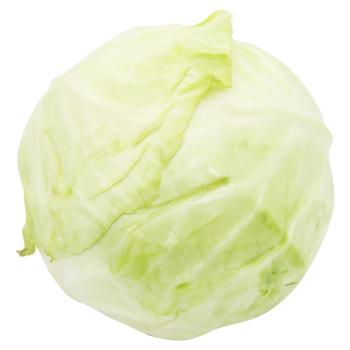 Cabbage