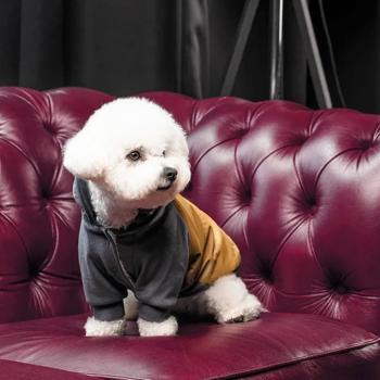 Товстівка для собак Pet Fashion «Rollie» M - купить, цены на MasterZoo - фото 6