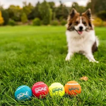 Toy Outward hound Sweden - buy, prices for MasterZoo - photo 3
