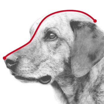 Trixie Plastic Black Muzzle for Dogs L 32cm - buy, prices for MasterZoo - photo 3